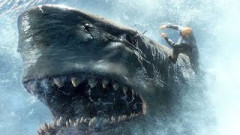 Toxic Shark